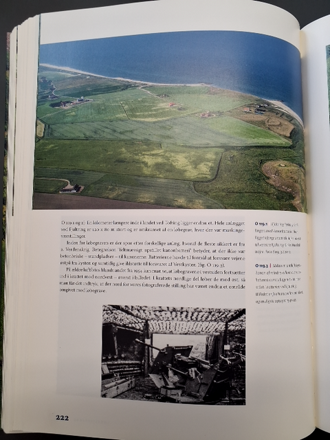Luftfotoarkæologi i Danmark